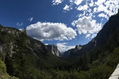 DSC_4331 (Large).JPG